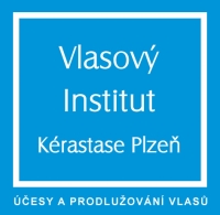 logo Vlasov Institut Krastase Plze